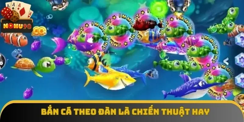 Áp dụng phương thức bắn cá theo đàn hiệu quả